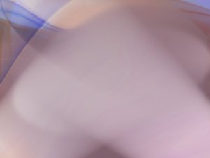 平台核心概念详解